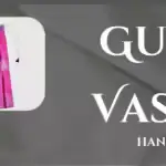 Gudhi Vastra